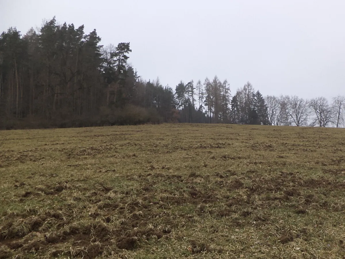 Dražba pole 9983 m²